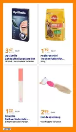Action Flugblatt woche 24 Seite 27