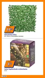 Action Flugblatt woche 24 Seite 4