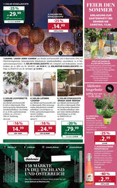 Dehner Flugblatt woche 24 Seite 16