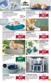 Dehner Flugblatt woche 24 Seite 13