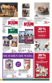 Dehner Flugblatt woche 24 Seite 14
