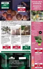 Dehner Flugblatt woche 24 Seite 16