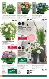 Dehner Flugblatt woche 24 Seite 2