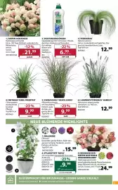 Dehner Flugblatt woche 24 Seite 3