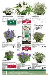 Dehner Flugblatt woche 24 Seite 5