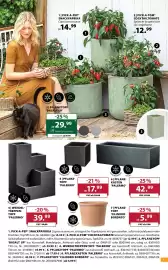 Dehner Flugblatt woche 24 Seite 7