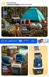 Folleto Walmart Página 17