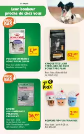 Catalogue Maxi Zoo page 2