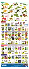 Sellers Bros weekly ad week 24 Page 4