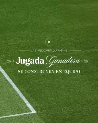 Fajitex (válido hasta 10-06)