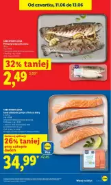 Lidl gazetka Strona 13