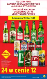 Lidl gazetka Strona 17