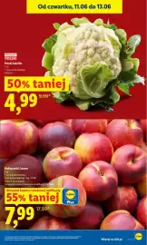 Lidl gazetka Strona 19