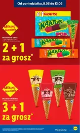 Lidl gazetka Strona 23
