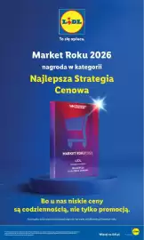 Lidl gazetka Strona 31
