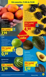Lidl gazetka Strona 43