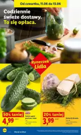 Lidl gazetka Strona 44