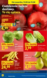 Lidl gazetka Strona 46