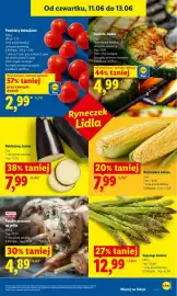 Lidl gazetka Strona 47