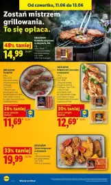 Lidl gazetka Strona 48
