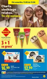 Lidl gazetka Strona 65