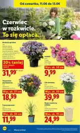 Lidl gazetka Strona 92