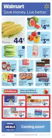 Walmart flyer week 24 Page 1