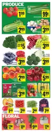 Food Basics flyer week 24 Page 7