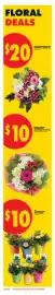 No Frills flyer week 24 Page 4