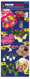 Real Canadian Superstore flyer week 24 Page 17