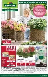 Dehner Prospekt woche 24 Seite 1