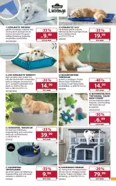 Dehner Prospekt woche 24 Seite 13