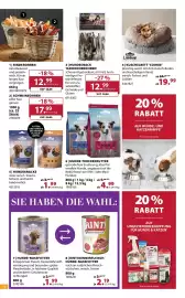 Dehner Prospekt woche 24 Seite 14