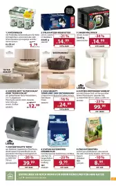 Dehner Prospekt woche 24 Seite 15