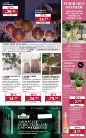 Dehner Prospekt woche 24 Seite 16