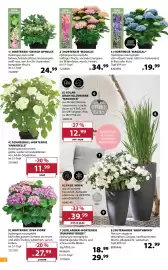 Dehner Prospekt woche 24 Seite 2