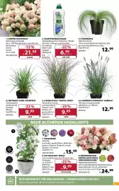 Dehner Prospekt woche 24 Seite 3