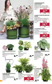 Dehner Prospekt woche 24 Seite 4