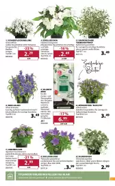 Dehner Prospekt woche 24 Seite 5