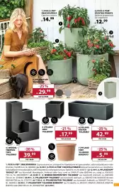 Dehner Prospekt woche 24 Seite 7