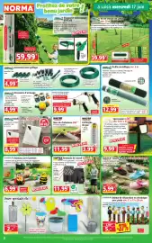 Catalogue Norma semaine 25 page 2