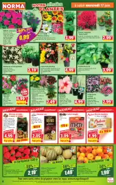 Catalogue Norma semaine 25 page 4