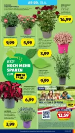 Hofer Flugblatt woche 24 Seite 31