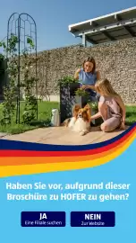 Hofer Flugblatt woche 24 Seite 42