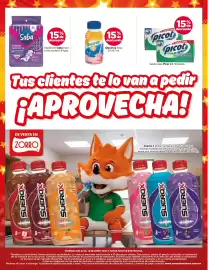 Catálogo Zorro Página 10