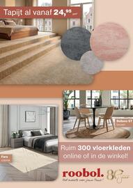 Roobol folder Pagina 2