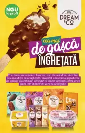 Catalog PROFI Pagină 17