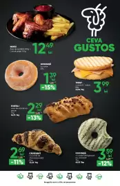 Catalog PROFI Pagină 19
