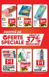 Catalog PROFI Pagină 2