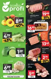 Catalog PROFI Pagină 6